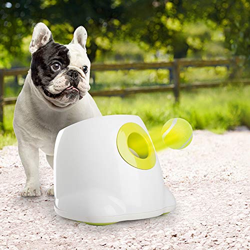 ALL FOR PAWS Automatischer Ballwerfer für Hunde, Hunde Ball Interaktive Ballwurfmaschine 3Pcs 2" Tennisbällen Inklusive, für Kleine und mittlere Hunde, Interaktives Hundespielzeug ALL FOR PAWS Automatischer Ballwerfer für Hunde, Hunde Ball Interaktive Ballwurfmaschine 3Pcs 2" Tennisbällen Inklusive, für Kleine und mittlere Hunde, Interaktives Hundespielzeug von ALL FOR PAWS