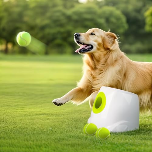 ALL FOR PAWS Automatischer Ballwerfer für Hunde, interaktiver Ballwerfer für große und große Hunde, wiederaufladbares, interaktives Welpenspielzeug mit 3 - 12 m, 6 Stück ETPU von ALL FOR PAWS