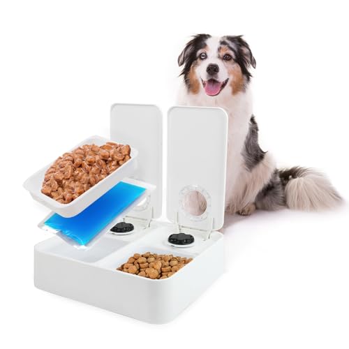 ALL FOR PAWS Automatischer Katzenfutterspender 1 Mahlzeit Hundefutterspender mit Eisbeutel, spülmaschinenfest, Trocken- und Nassfutterspender für Haustiere mit 48-Stunden-Timer, Einzel(Doppel) von ALL FOR PAWS