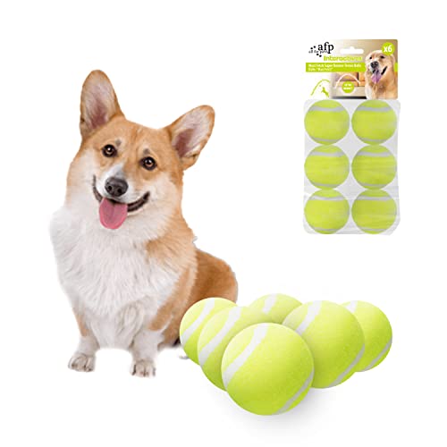 ALL FOR PAWS Ball Launcher Hund Ball Pet Werfen Spielzeug Mini Tennisbälle für kleine bis mittlere Hunde (Mini Ball 2 inch) von ALL FOR PAWS