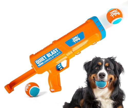 ALL FOR PAWS Ballschleuder für Hunde – Interaktives Spielzeug für Hunde von ALL FOR PAWS