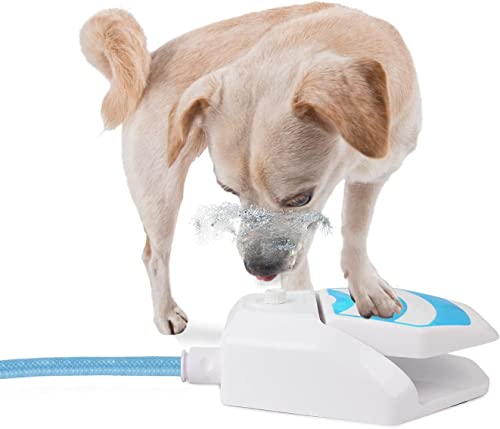 ALL FOR PAWS Outdoor Dog Garden Fountain Drinking Water Dispenser Hydration Paw Aktivated Sprinkler Cooling Toy With Connector and 145CM Schlauch, New Version von ALL FOR PAWS