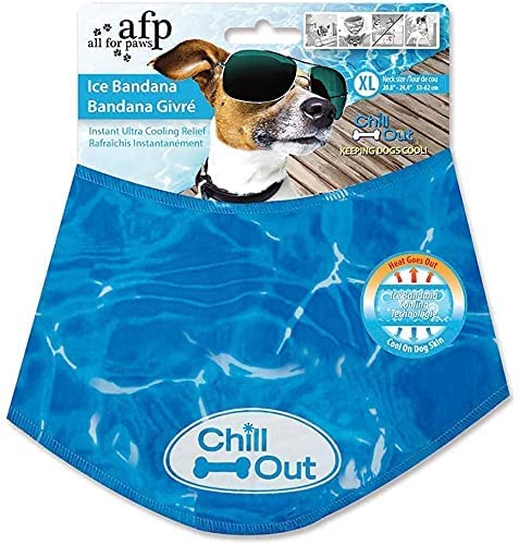 ALL FOR PAWS Chill Out Hunde-Eishalstuch, sofortige Kühlung Haustier-Halstuch, atmungsaktiver Schal für Hunde und Katzen, Eishalsband für Sommer, Blau, Halsumfang 53–62 cm (XL) von ALL FOR PAWS