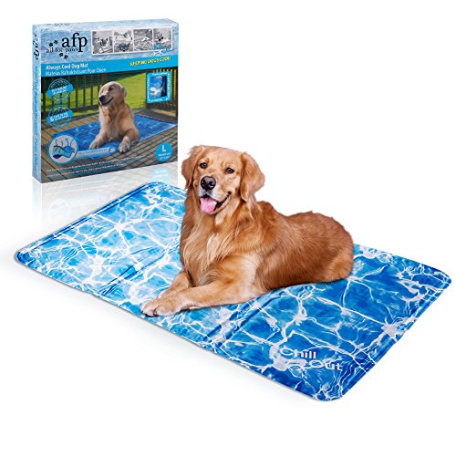 All for Paws Chill Out Kühlmatte für Hunde, Large von ALL FOR PAWS