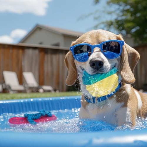 ALL FOR PAWS Cooling Outdoor Dog Toy,Summer Dog Toy, Cooling Toy, Dog Outdoor Play Plush Toy, freezable Teething Shark for Summer, Dog chew Toy (Beach Volley Set ALL FOR PAWS Cooling Outdoor Dog Toy,Summer Dog Toy, Cooling Toy, Dog Outdoor Play Plush Toy, freezable Teething Shark for Summer, Dog chew Toy (Beach Volley Set von ALL FOR PAWS