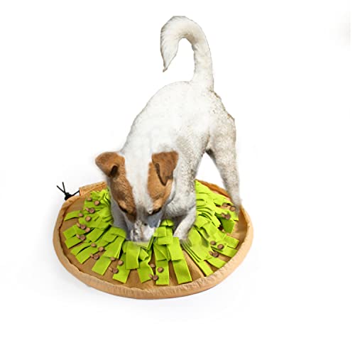 ALL FOR PAWS Dig It Faltbare Leckerli-Matte ALL FOR PAWS Dig It Faltbare Leckerli-Matte von ALL FOR PAWS