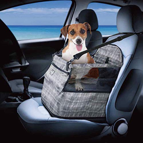 ALL FOR PAWS Hunde-Autositz-Upgrade Deluxe, tragbarer Haustier-Hundesitz für Autos, LKWs und SUVs – verstellbarer Sicherheitsgurt, perfekt für kleine und mittelgroße Haustiere (grau) von ALL FOR PAWS