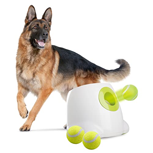 ALL FOR PAWS Hundeballwerfer Automatischer Ballwerfer Hundeballwerfer Hundeballwerfer Maschine Interaktives Spielzeug für große Hunde, 3 Tennisbälle enthalten von ALL FOR PAWS