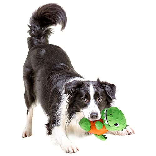 ALL FOR PAWS Hundespielzeug Leckerli-Verstecker, für unabhängiges Spielen mit Belohnung, Kauspaß für Hunde von ALL FOR PAWS