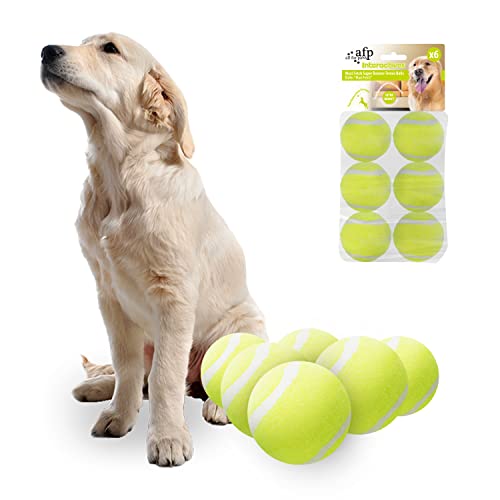 ALL FOR PAWS Hundetennisbälle Premium Qualität, Super Bouncy und Durable Gummibälle für Hunde. Perfekt für Fetch Spiel passend für Fetch Maxi Ball Launcher für Bulk (2,5 Zoll) 6pcs von ALL FOR PAWS