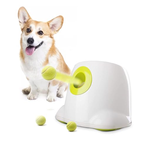 ALL FOR PAWS Hyperfetch Ultimate Throwing Toy Interactive Automatic Ball Launcher Dog Toy, Tennis Ball Throwing Machine for Dog Training, 3 Balls Included (Mini Style) with European Adapter von ALL FOR PAWS