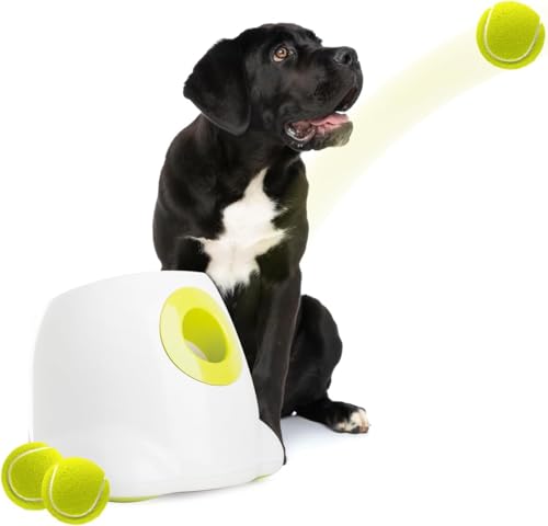 ALL FOR PAWS Automatischer Ballwerfer, mit 3pcs Tennisbälle (2.5'') Hunde Ball Interaktive Ballwurfmaschine 6 2.5" Tennisbällen Inklusive von ALL FOR PAWS