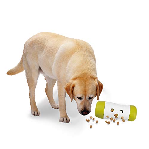 ALL FOR PAWS Interactives Leckerli-Bombe für Hunde, 1,8 kg ALL FOR PAWS Interactives Leckerli-Bombe für Hunde, 1,8 kg von ALL FOR PAWS
