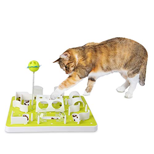 ALL FOR PAWS Interactives Treat Labyrinth Katzenspielzeug 0,23 kg ALL FOR PAWS Interactives Treat Labyrinth Katzenspielzeug 0,23 kg von ALL FOR PAWS