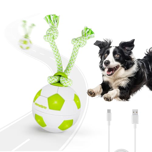 ALL FOR PAWS Interaktives Hundespielzeug Hunde Ball, Langlebiger Bewegungsaktivierter Automatischer Rollball für Kleine/Mittlere/Große Hunde, USB-Aufladbar von ALL FOR PAWS