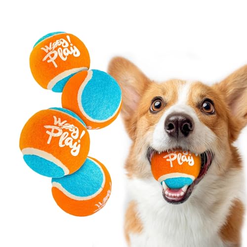 ALL FOR PAWS Interaktives Tennisball-Hundespielzeug, superfedernd, weiches Material, leuchtende Farben, 4 Stück von ALL FOR PAWS
