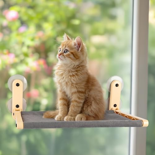 ALL FOR PAWS Katzen-Fensterbett Hängematte für Wohnungskatzen – Klappbarer Katzen-Fensterplatz mit umkehrbarer Matte, verstärkte Saugnäpfe (hält bis zu 18 kg) von ALL FOR PAWS