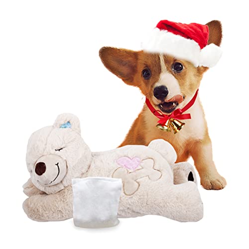 ALL FOR PAWS Kuschelbär Spielzeug Haustier Verhaltenshilfe Spielzeug Warmes Plüsch Spielzeug ALL FOR PAWS Kuschelbär Spielzeug Haustier Verhaltenshilfe Spielzeug Warmes Plüsch Spielzeug von ALL FOR PAWS