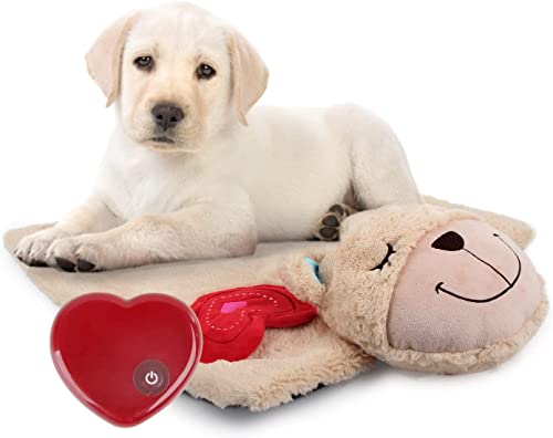 ALL FOR PAWS Kuscheltier für Hunde, Welpenspielzeug Hunde Herzschlag Plüschtier Welpe Verhaltenshilfe Plüschtier Haustier Plüschtier… (Heart Beat Bear Blanket) von ALL FOR PAWS