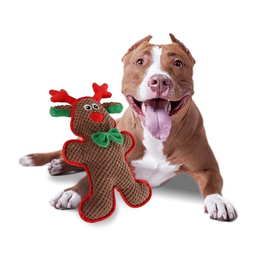 ALL FOR PAWS MerryTough Buddy Rentier Hundespielzeug, Plüsch, mit Quietscher, robust, für kleine, mittlere und große Hunde, Zahnreinigung, Kauspielzeug, Weihnachten ALL FOR PAWS MerryTough Buddy Rentier Hundespielzeug, Plüsch, mit Quietscher, robust, für kleine, mittlere und große Hunde, Zahnreinigung, Kauspielzeug, Weihnachten von ALL FOR PAWS