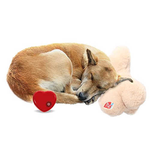 ALL FOR PAWS Puppy Heartbeat Kissen Hundekissen für Welpen, Hundekissen, Schlafhilfe, Spielzeug, trösten Sie Ihre Welpen von ALL FOR PAWS