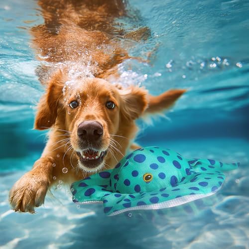 ALL FOR PAWS Stingfay Kühlwasserspielzeug für Hunde, interaktives Schwimmbadspielzeug, Strand und See spielen von ALL FOR PAWS