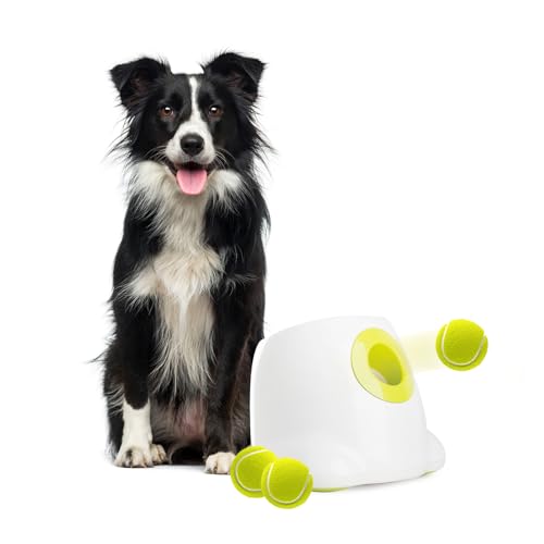 ALL FOR PAWS Ultimatives Wurfspielzeug Interaktiver Hund Automatischer Ballwerfer, Tennisball Wurfmaschine für große und große Hunde, 6 Bälle enthalten (Hundeball-Launcher Maxi) von ALL FOR PAWS