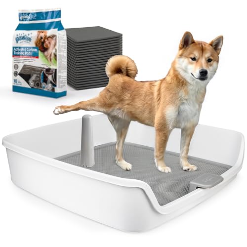 ALL FOR PAWS Urinierunterlage Halter, XL Hundetoilette, Welpenunterlagen Halter, Welpen Töpfchen Tablett für kleine/mittelgroße/große Hunde Töpfchentraining, 63,5 cm x 63,5 cm von ALL FOR PAWS