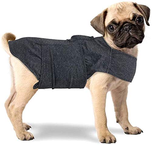 All For Paws Clam Paws Calm Paws Hundeweste, gegen Angst, Größe L, 7 kg All For Paws Clam Paws Calm Paws Hundeweste, gegen Angst, Größe L, 7 kg von ALL FOR PAWS