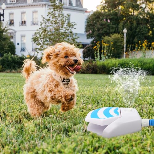 All For Paws Hund Wasserbrunnen, Hund Sprinkler Pfote aktiviert, Outdoor Wasserbrunnen für Hund trinken, Step On Pet Wasserspender von ALL FOR PAWS