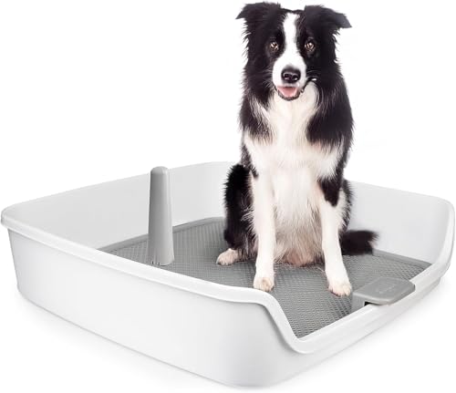 All For Paws Hundetöpfchen Tablett Indoor Hundetoilette mit abnehmbarem Pfosten & Schutzwand, 63 x 63 cm, großes Netzgitter, Hunde-Pad Halter mit abnehmbarer Säule, Welpentoilette für Töpfchentraining All For Paws Hundetöpfchen Tablett Indoor Hundetoilette mit abnehmbarem Pfosten & Schutzwand, 63 x 63 cm, großes Netzgitter, Hunde-Pad Halter mit abnehmbarer Säule, Welpentoilette für Töpfchentraining von ALL FOR PAWS