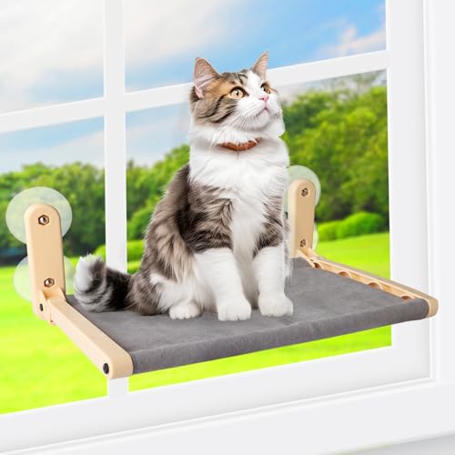 All For Paws Katzen-Fensterstange für Indoor-Katzen, platzsparende Katzenhängematte für Fenster, hängende Katzenmöbel, starker Saugnapf, Katzenfensterbett (grau) von ALL FOR PAWS