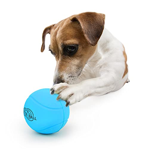 AFP Hundespielzeug, Hundeball, Hundespielzeug gegen Langeweile und stimulierendes Outdoor-Hundespielzeug, Meta-Ball, Hundespielzeug (Standard-Tennisgröße, Sprung- und Rassel-Gummiball) für mittelgroße von ALL FOR PAWS