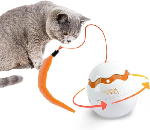 All for Paws Dino Egg Spinner Interaktives Katzenspielzeug für den Innenbereich, automatisches rollendes Kitty Spielzeug, 360 Grad unregelmäßig, selbstdrehender Tumbler Katzenspielzeug zum Spielen von ALL FOR PAWS