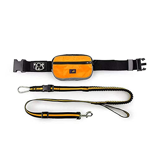 All for Paws Gurt Jogging mit Handtasche Outdoor, Orange von ALL FOR PAWS