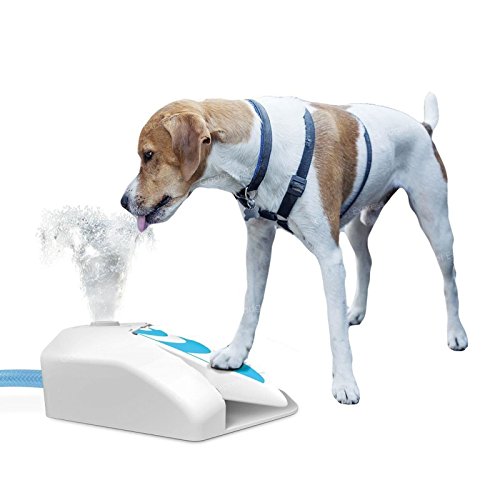Alle für Pfoten Outdoor Garten Wasser Trinkbrunnen Hund Kühler Drücken Schritt Paw betrieben Spender Training Fresh Wasser von ALL FOR PAWS