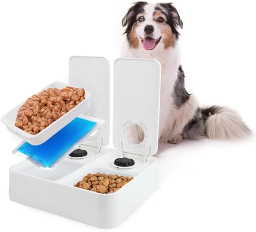 Liftstyle4Pets of Double Timer Feeder Liftstyle4Pets of Double Timer Feeder von ALL FOR PAWS