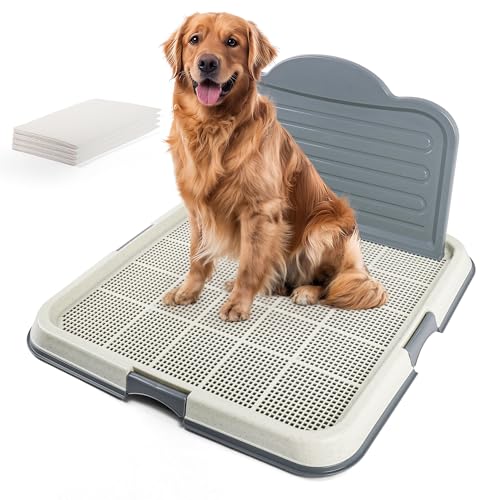 Pawise Urinierpad-Halter mit Wand, Urinierunterlage für Trainingspads, Netz-Trainings-Tablett für einfache Reinigung, 60 cm x 60 cm + Urinierpad, 4 Stück von ALL FOR PAWS
