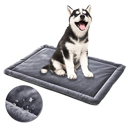 ALLISANDRO Ultraweiche wasserdichte Hundedecke Haustiermatte - Komfortabler und strapazierfähiger Schutz für Ihr Haustier 80x60cm von ALLISANDRO