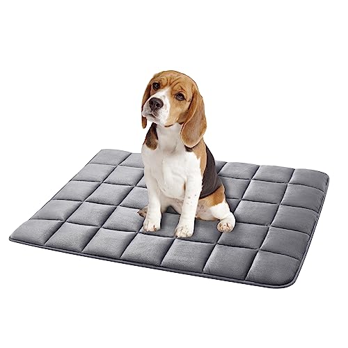 ALLISANDRO Hundematte wasserdichte Hundedecke weiches Katzenkissen Sofamatte Matratze Waschbar Warmes Haustier-Fleece-Pad Matte, Rauchgrau 100x75cm ALLISANDRO Hundematte wasserdichte Hundedecke weiches Katzenkissen Sofamatte Matratze Waschbar Warmes Haustier-Fleece-Pad Matte, Rauchgrau 100x75cm von ALLISANDRO