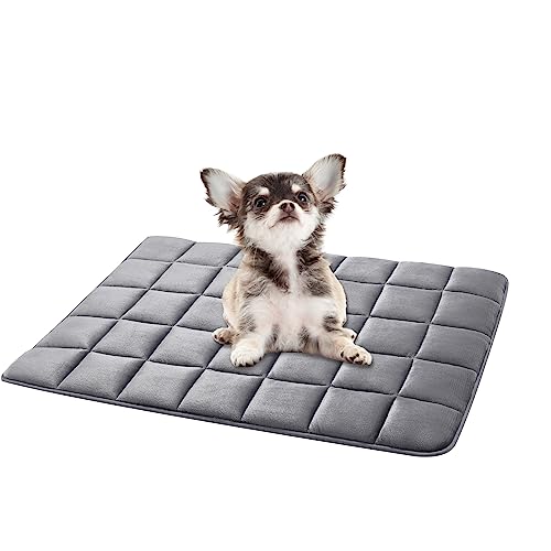 ALLISANDRO Hundematte wasserdichte Hundedecke weiches Katzenkissen Sofamatte Matratze Waschbar Warmes Haustier-Fleece-Pad Matte, Rauchgrau 75x50cm ALLISANDRO Hundematte wasserdichte Hundedecke weiches Katzenkissen Sofamatte Matratze Waschbar Warmes Haustier-Fleece-Pad Matte, Rauchgrau 75x50cm von ALLISANDRO