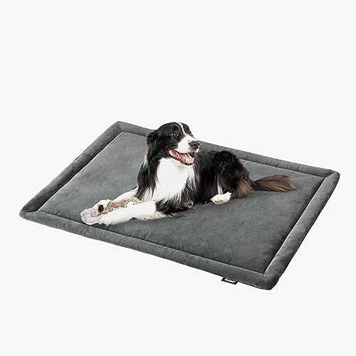 ALLISANDRO wasserdichte Hundedecke Premium Dutch-Velvet Haustier Hund Katze Matte - Erhältlich in Mehreren Größen (80x60cm, 100x73cm, 118x73cm) von ALLISANDRO