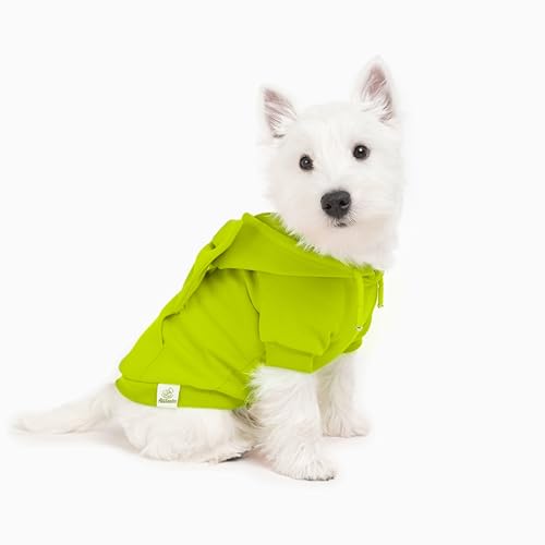 Allisandro Hundehoodie mit Schleife, Stilvoller Welpen-Kapuzenpullover, Warme Hundebekleidung für kleine bis mittelgroße Hunde, Orange/Grün/Königsblau/Gelbgrün von ALLISANDRO
