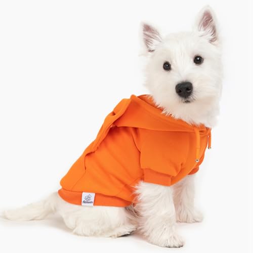 Allisandro Hundehoodie mit Schleife, Stilvoller Welpen-Kapuzenpullover, Warme Hundebekleidung für kleine bis mittelgroße Hunde, Orange/Grün/Königsblau/Gelbgrün von ALLISANDRO