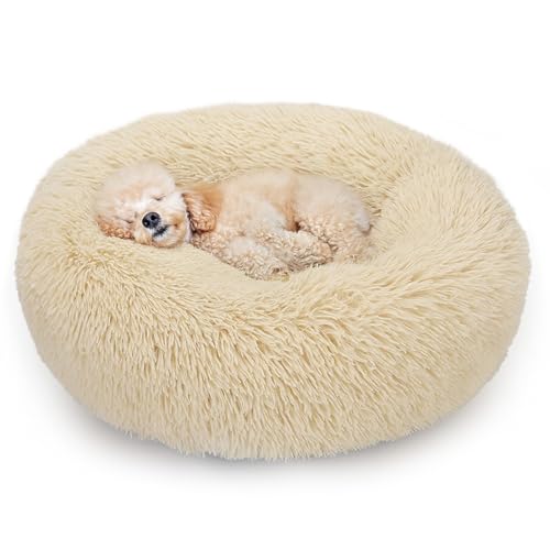 ALLSOPETS Beruhigendes Hundebett für Kleine und Mittelgroße Hunde Waschbares Donut-Katzenbett mit Rutschfester Unterseite Weiches Rundes Plüsch-Hundebett (Mandelgelb, 70cm) von ALLSOPETS