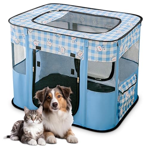 ALLSOPETS Faltbarer Haustierstall Tragbarer Katzen Laufstall Hunde Zelt Hundekäfig für Hund Welpe Freigehege Hundebox Kaninchen Zwinger mit Tragbar Handtasche (Blaue Bären, XL) von ALLSOPETS
