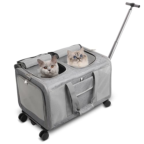 ALLSOPETS Große Haustier Tragetasche mit Rädern Doppelabteil Rollende Katzen und Hundeträger mit Teleskopgriff Faltbare Tragbare Reisetasche für 2 Kleine Hunde Mehrere Kätzchen Grau ALLSOPETS Große Haustier Tragetasche mit Rädern Doppelabteil Rollende Katzen und Hundeträger mit Teleskopgriff Faltbare Tragbare Reisetasche für 2 Kleine Hunde Mehrere Kätzchen Grau von ALLSOPETS