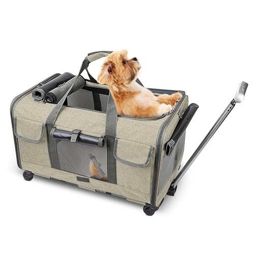ALLSOPETS Große Haustier Tragetasche mit Rädern Rollender Katzen- und Hundeträger mit Teleskopgriff Tragbare Reisetasche für 2 kleine Hunde Mehrere Kätzchen oder Mittelgroße Hunde Beige ALLSOPETS Große Haustier Tragetasche mit Rädern Rollender Katzen- und Hundeträger mit Teleskopgriff Tragbare Reisetasche für 2 kleine Hunde Mehrere Kätzchen oder Mittelgroße Hunde Beige von ALLSOPETS