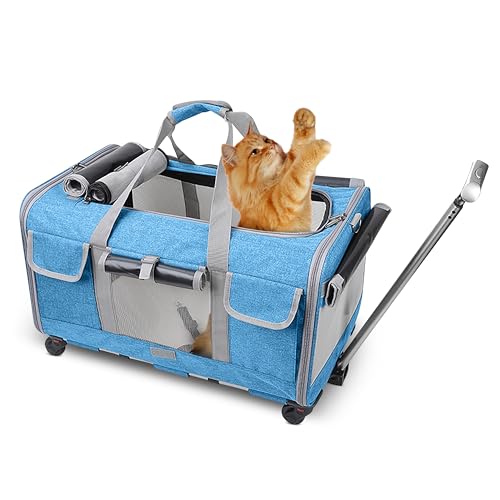 ALLSOPETS Große Haustier Tragetasche mit Rädern Rollender Katzen- und Hundeträger mit Teleskopgriff Tragbare Reisetasche für 2 kleine Hunde Mehrere Kätzchen oder Mittelgroße Hunde Blau ALLSOPETS Große Haustier Tragetasche mit Rädern Rollender Katzen- und Hundeträger mit Teleskopgriff Tragbare Reisetasche für 2 kleine Hunde Mehrere Kätzchen oder Mittelgroße Hunde Blau von ALLSOPETS