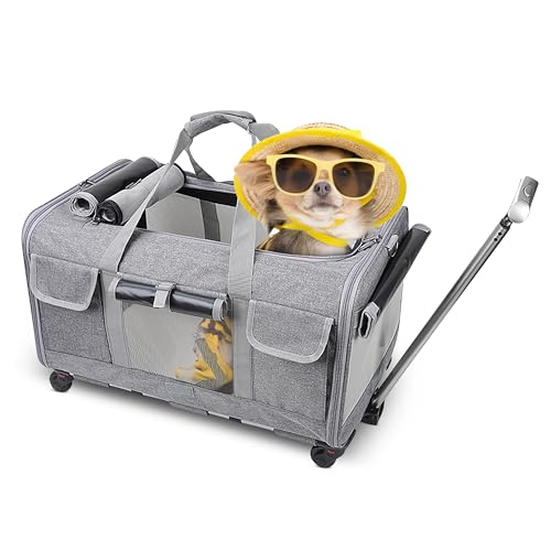 ALLSOPETS Große Haustier Tragetasche mit Rädern Rollender Katzen- und Hundeträger mit Teleskopgriff Tragbare Reisetasche für 2 kleine Hunde Mehrere Kätzchen oder Mittelgroße Hunde Grau ALLSOPETS Große Haustier Tragetasche mit Rädern Rollender Katzen- und Hundeträger mit Teleskopgriff Tragbare Reisetasche für 2 kleine Hunde Mehrere Kätzchen oder Mittelgroße Hunde Grau von ALLSOPETS
